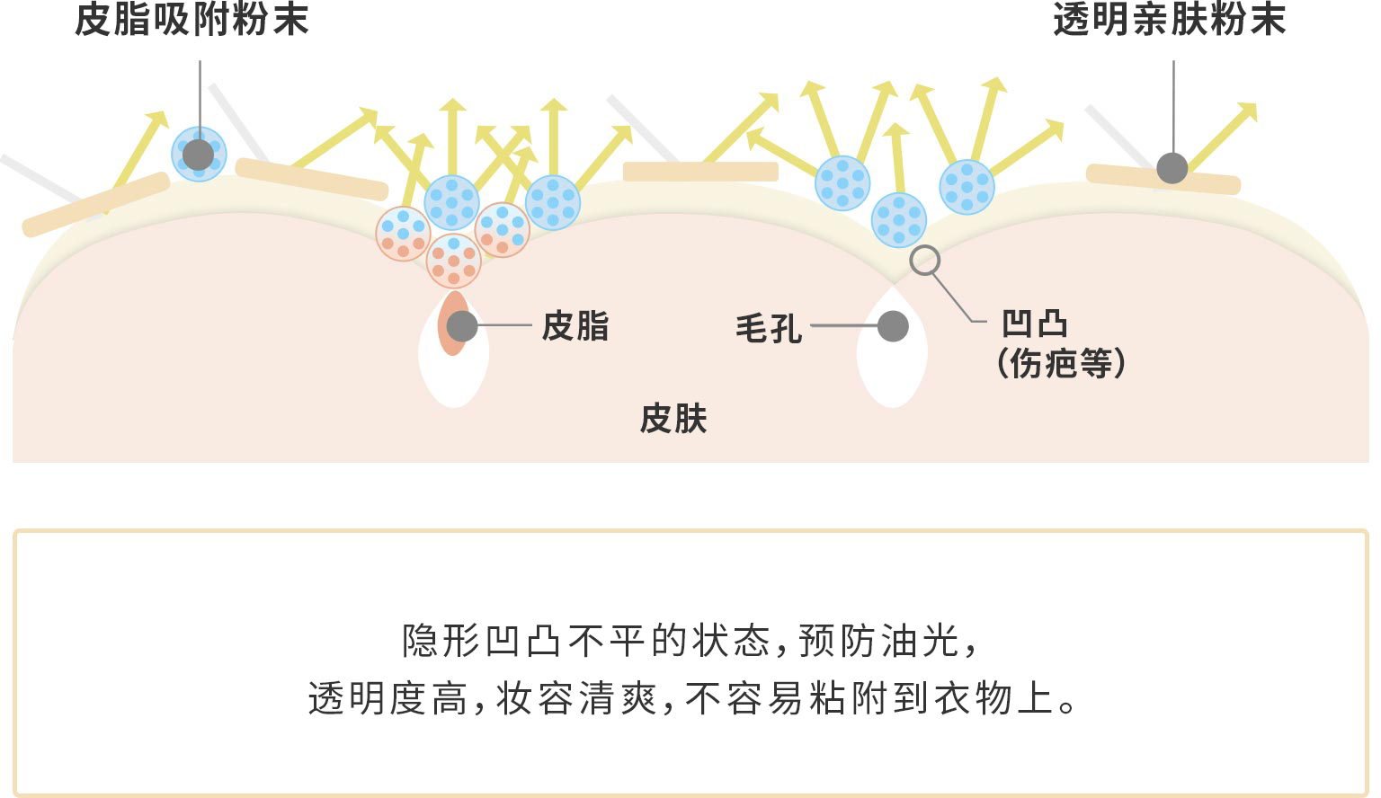 皮脂吸附粉末